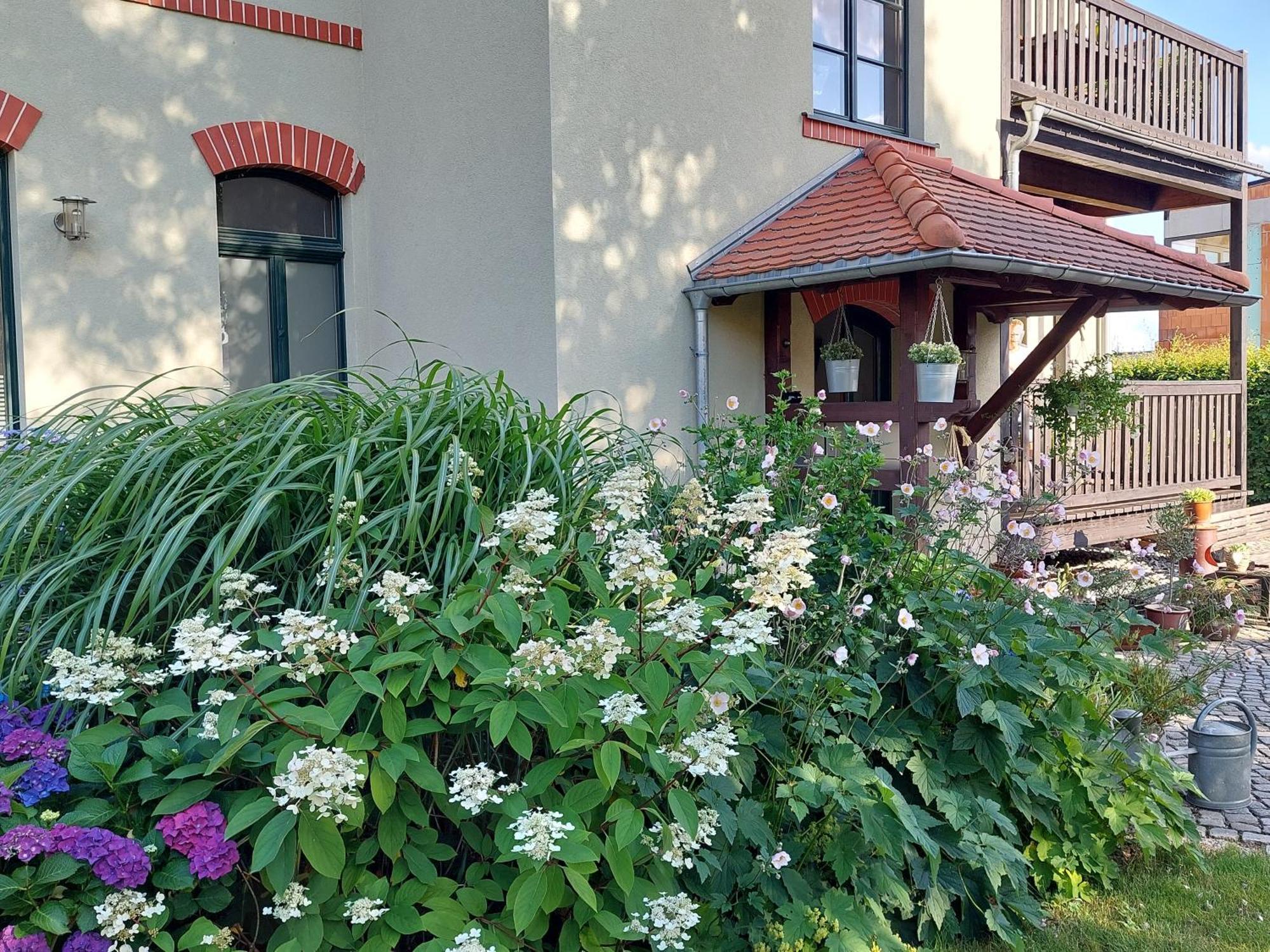 Ferienwohnung Am Buergerteich 2 비쇼프스베르다 외부 사진